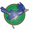 Road Runner card image